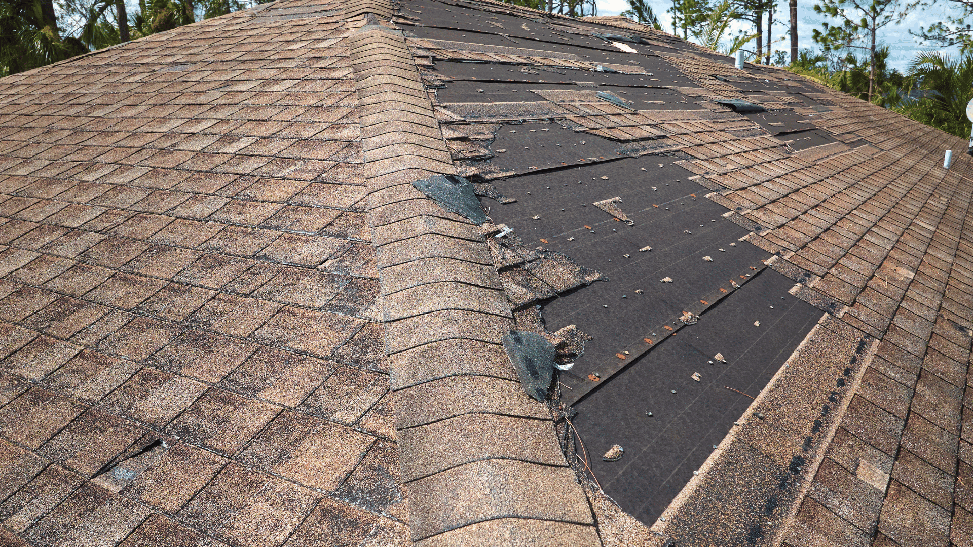 Emergency Roof Repairs in Basingstoke: A Complete Guide